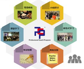想成為企業(yè)青睞的教練？這門網(wǎng)絡(luò)技術(shù)認證課不容錯過