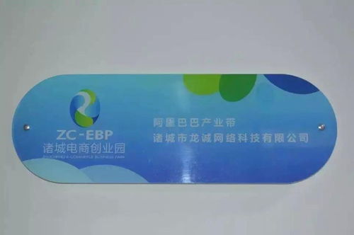 諸城市龍誠網絡科技 賦能地方企業，驅動數字化轉型